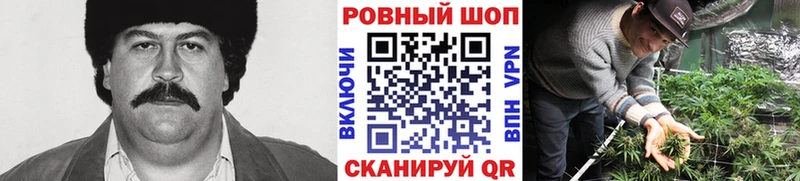 Галлюциногенные грибы Дивногорск