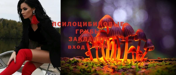 индика Бутурлиновка
