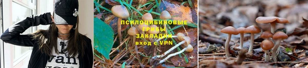 кокаин Алексеевка